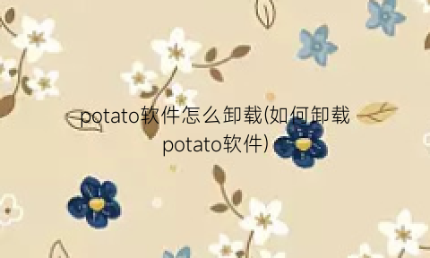 potato软件怎么卸载(如何卸载potato软件)