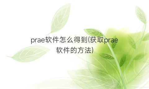 “prae软件怎么得到(获取prae软件的方法)