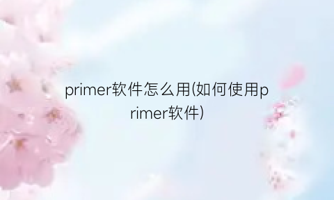 “primer软件怎么用(如何使用primer软件)