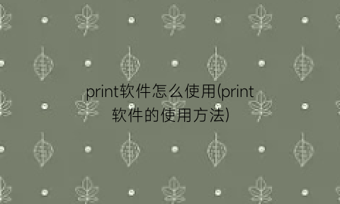 print软件怎么使用(print软件的使用方法)