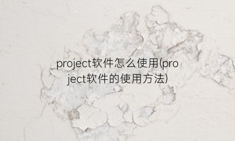 project软件怎么使用(project软件的使用方法)