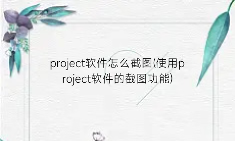 project软件怎么截图(使用project软件的截图功能)