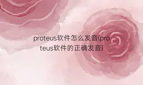 proteus软件怎么发音(proteus软件的正确发音)