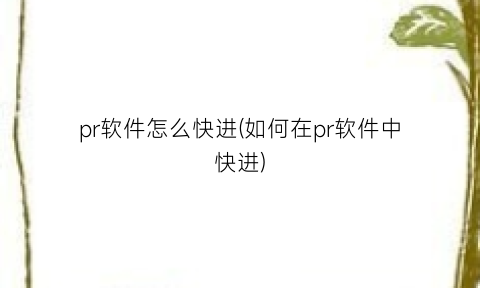 pr软件怎么快进(如何在pr软件中快进)