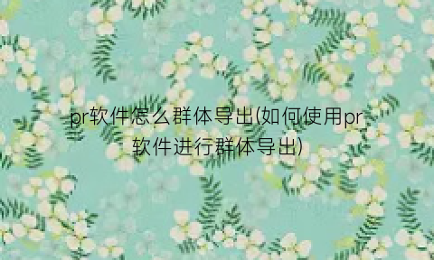 “pr软件怎么群体导出(如何使用pr软件进行群体导出)