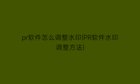 “pr软件怎么调整水印(PR软件水印调整方法)
