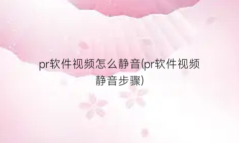 pr软件视频怎么静音(pr软件视频静音步骤)