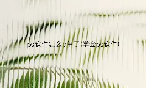 ps软件怎么p单子(学会ps软件)