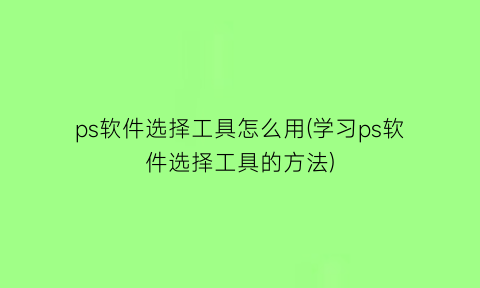 “ps软件选择工具怎么用(学习ps软件选择工具的方法)