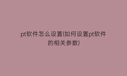 “pt软件怎么设置(如何设置pt软件的相关参数)