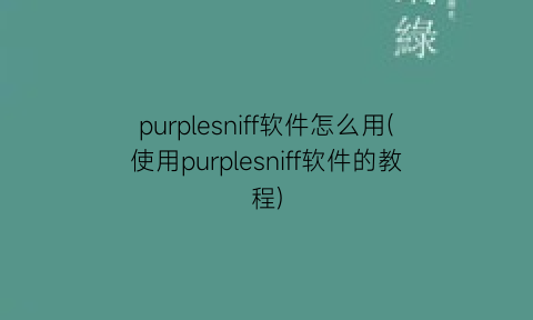 “purplesniff软件怎么用(使用purplesniff软件的教程)