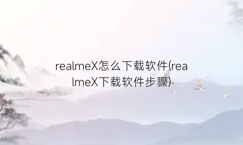 realmeX怎么下载软件(realmeX下载软件步骤)