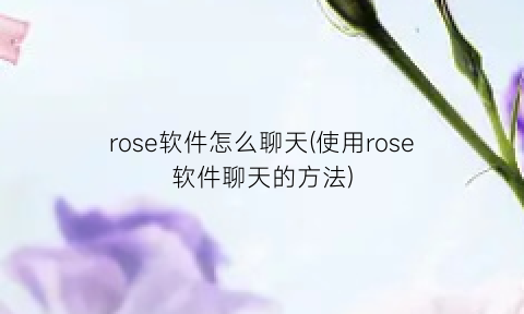 rose软件怎么聊天(使用rose软件聊天的方法)