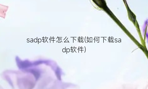“sadp软件怎么下载(如何下载sadp软件)