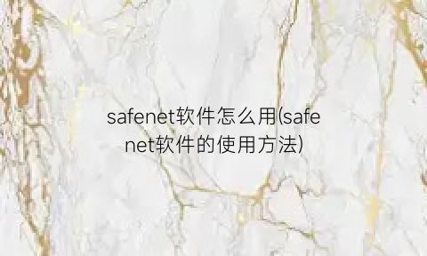 safenet软件怎么用(safenet软件的使用方法)