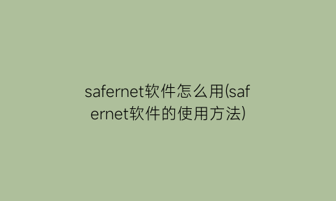 safernet软件怎么用(safernet软件的使用方法)
