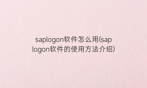 saplogon软件怎么用(saplogon软件的使用方法介绍)