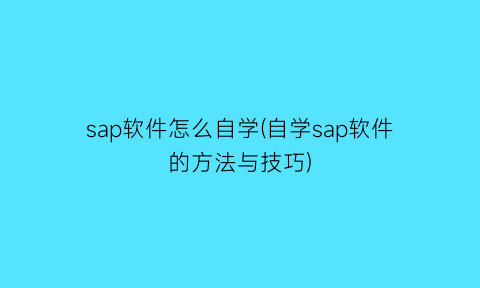 “sap软件怎么自学(自学sap软件的方法与技巧)