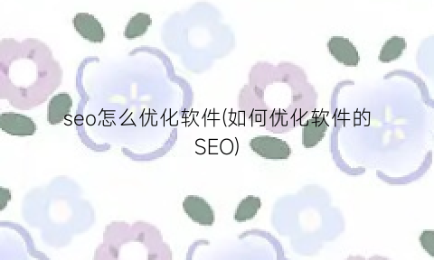 seo怎么优化软件(如何优化软件的SEO)