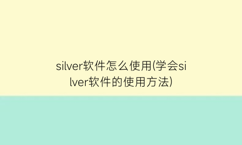 silver软件怎么使用(学会silver软件的使用方法)