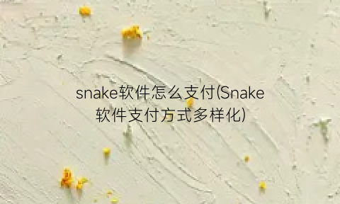 “snake软件怎么支付(Snake软件支付方式多样化)
