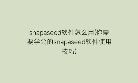 snapaseed软件怎么用(你需要学会的snapaseed软件使用技巧)