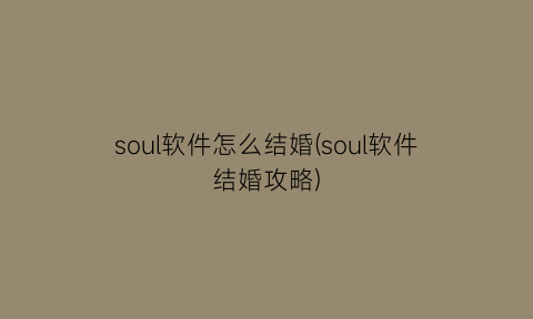 “soul软件怎么结婚(soul软件结婚攻略)