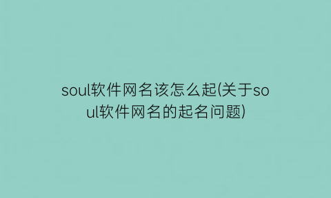 soul软件网名该怎么起(关于soul软件网名的起名问题)