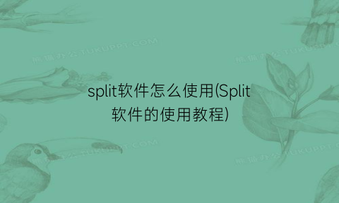 “split软件怎么使用(Split软件的使用教程)