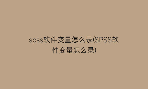 spss软件变量怎么录(SPSS软件变量怎么录)