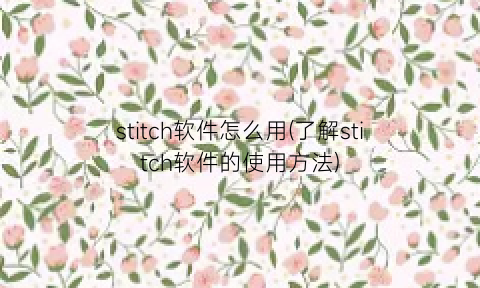 stitch软件怎么用(了解stitch软件的使用方法)