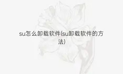 su怎么卸载软件(su卸载软件的方法)