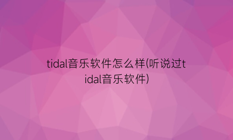 tidal音乐软件怎么样(听说过tidal音乐软件)