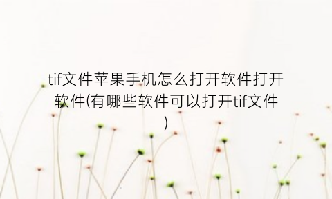 “tif文件苹果手机怎么打开软件打开软件(有哪些软件可以打开tif文件)