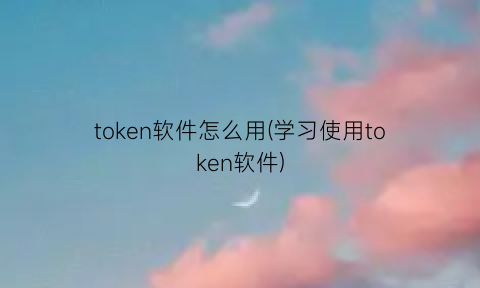 token软件怎么用(学习使用token软件)