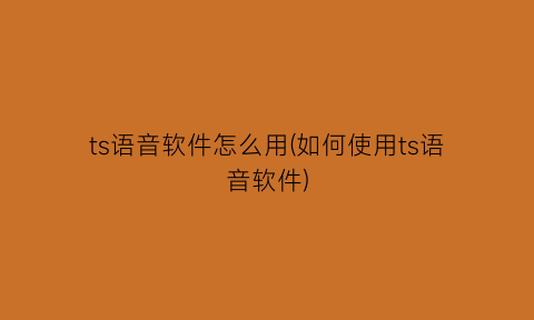 ts语音软件怎么用(如何使用ts语音软件)