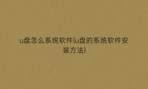 u盘怎么系统软件(u盘的系统软件安装方法)