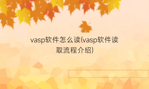 vasp软件怎么读(vasp软件读取流程介绍)