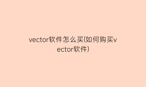 vector软件怎么买(如何购买vector软件)