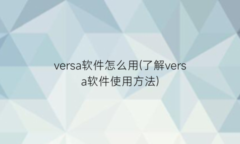 versa软件怎么用(了解versa软件使用方法)