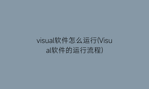 visual软件怎么运行(Visual软件的运行流程)