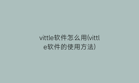 vittle软件怎么用(vittle软件的使用方法)