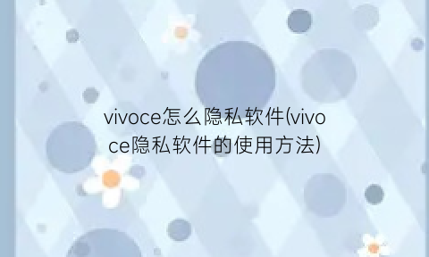 vivoce怎么隐私软件(vivoce隐私软件的使用方法)