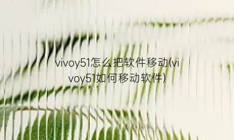 vivoy51怎么把软件移动(vivoy51如何移动软件)