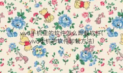 “vivo手机里的软件怎么卸载软件(vivo手机的软件卸载方法)