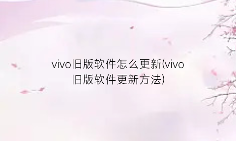 vivo旧版软件怎么更新(vivo旧版软件更新方法)