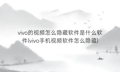 vivo的视频怎么隐藏软件是什么软件(vivo手机视频软件怎么隐藏)