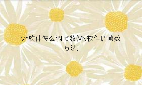 vn软件怎么调帧数(VN软件调帧数方法)