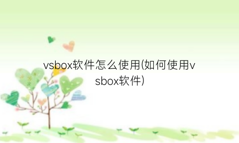“vsbox软件怎么使用(如何使用vsbox软件)