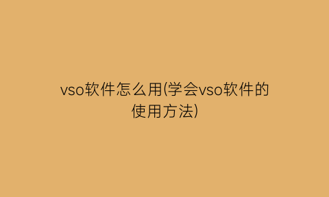 vso软件怎么用(学会vso软件的使用方法)